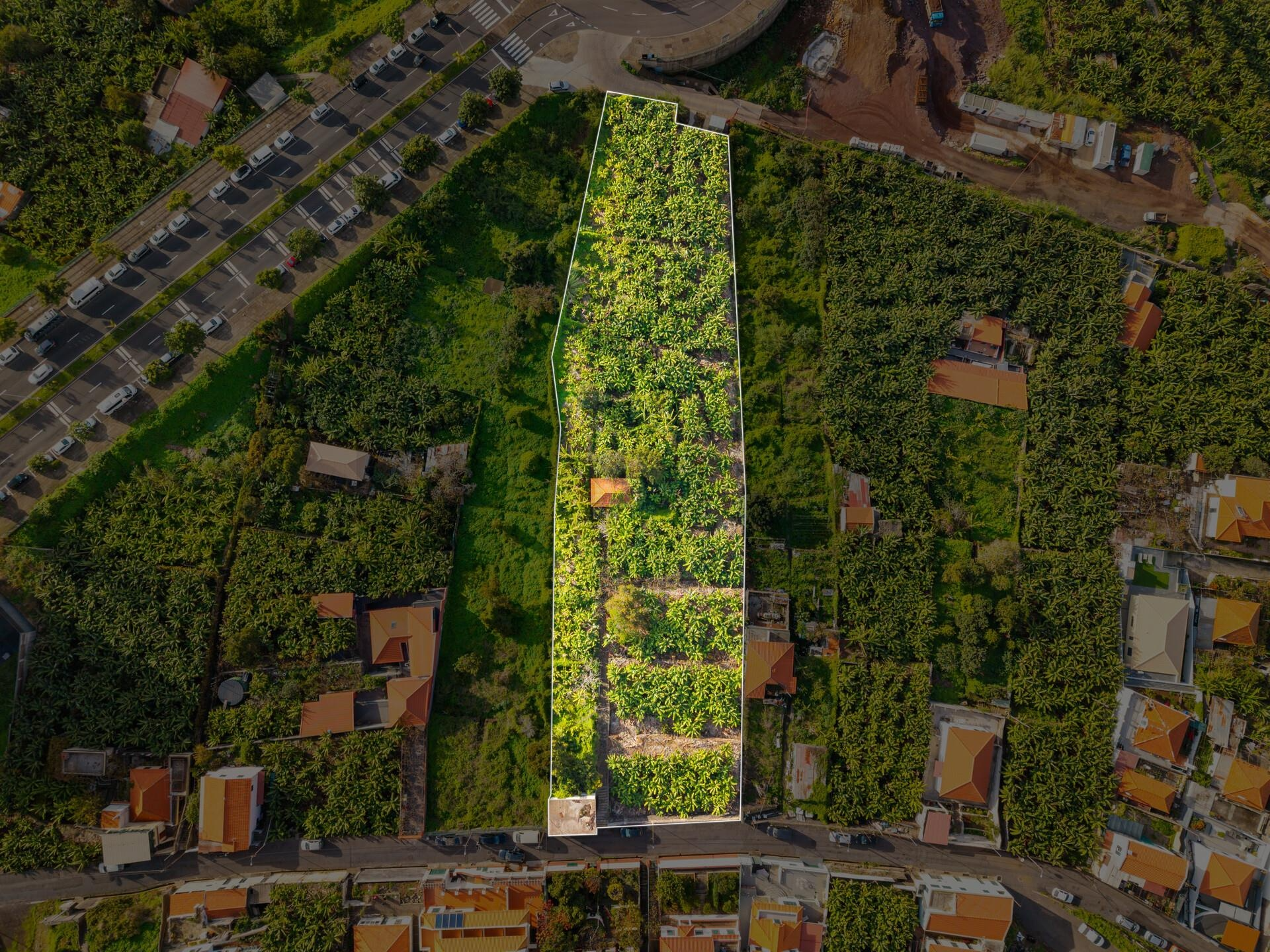 Terreno 4800 m² | Índice Construção 1,7-2,8 | Vista Mar em Funchal, Madeira — foto 15 de 15
