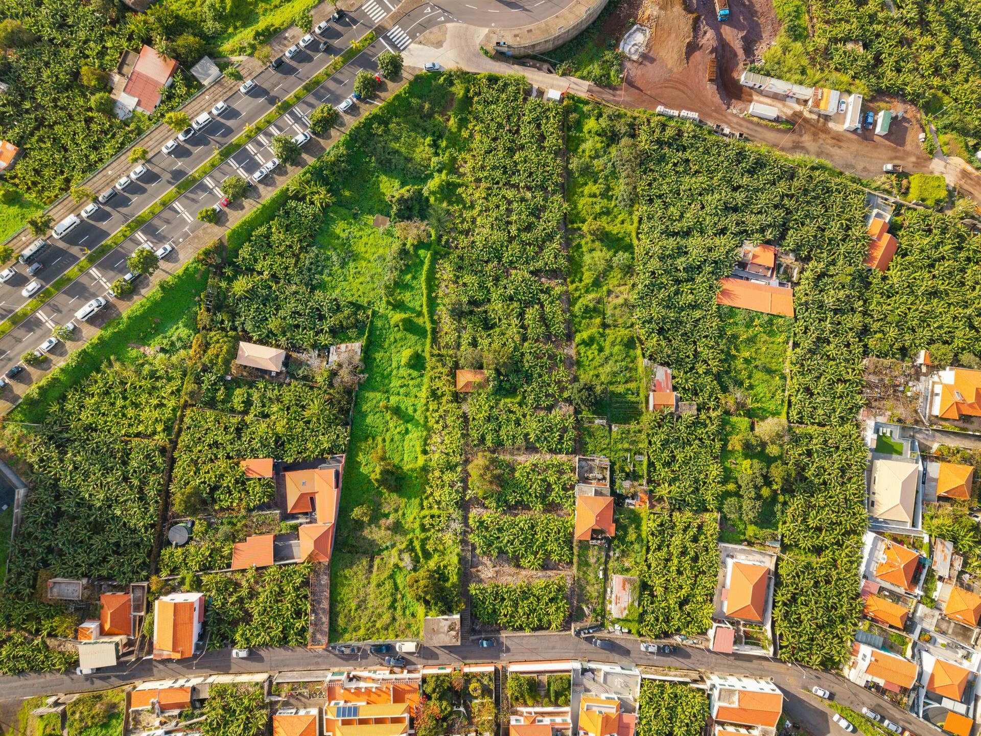 Terreno 4800 m² | Índice Construção 1,7-2,8 | Vista Mar em Funchal, Madeira — foto 4 de 15